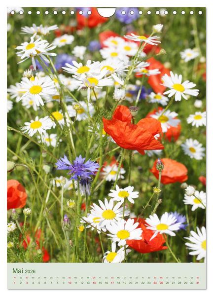 Produktbild: Mohn im Feld (Wandkalender 2026 DIN A4 hoch), CALVENDO Monatskalender