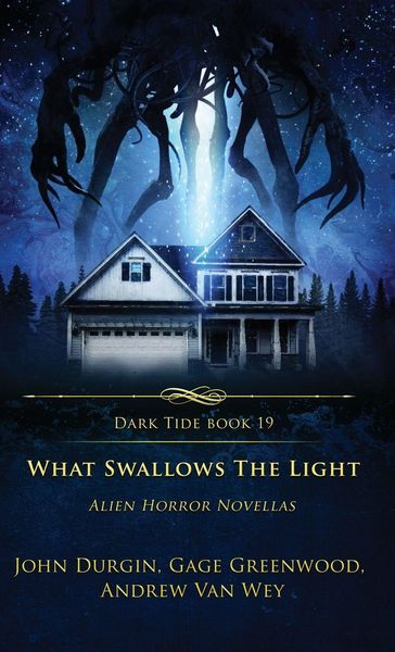 Produktbild: What Swallows the Light