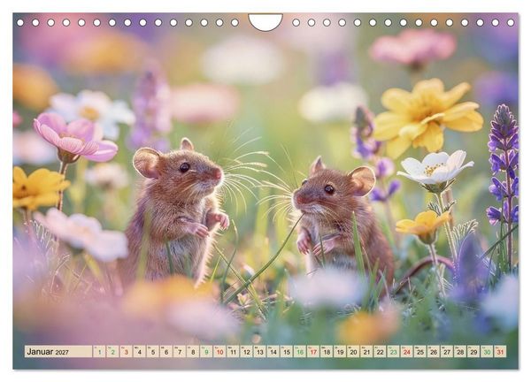 Produktbild: Niedliche Feldm&auml;use in Pastellfarben (Wandkalender 2027 DIN A4 quer), CALVENDO Monatskalender