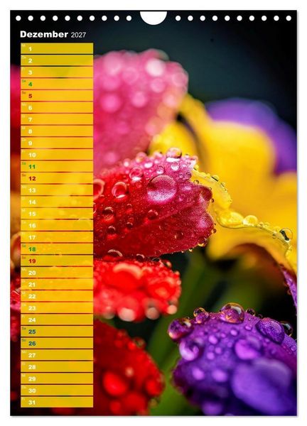 Produktbild: Bunte Augenblicke (Wandkalender 2027 DIN A4 hoch), CALVENDO Monatskalender