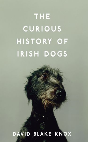 Produktbild: The Curious History of Irish Dogs