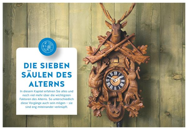 Produktbild: 15 Jahre l&auml;nger leben