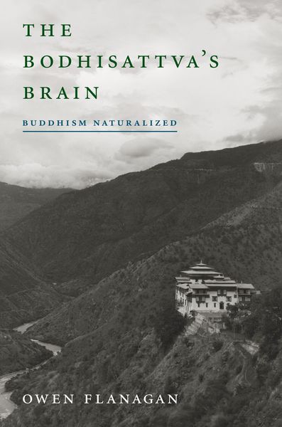 Produktbild: The Bodhisattva's Brain