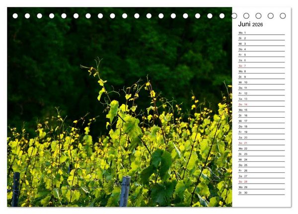 Produktbild: Landschaften des Kraichgaus (Tischkalender 2026 DIN A5 quer), CALVENDO Monatskalender