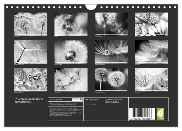 Produktbild: Pusteblumenzauber in schwarzwei&szlig; (Wandkalender 2026 DIN A4 quer), CALVENDO Monatskalender
