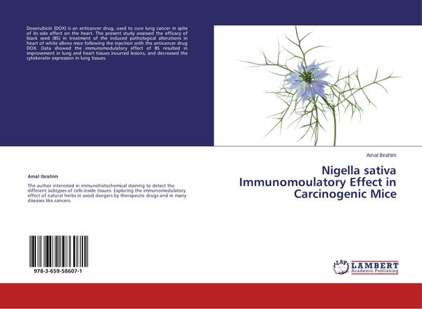 Produktbild: Nigella sativa Immunomoulatory Effect in Carcinogenic Mice