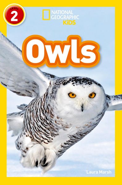 Produktbild: Owls