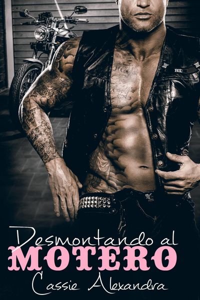 Produktbild: Desmontando al motero