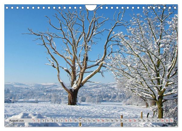 Produktbild: Snow Scenes (Wall Calendar 2026 DIN A4 landscape), CALVENDO 12 Month Wall Calendar