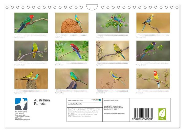 Produktbild: Australian Parrots (Wall Calendar 2026 DIN A4 landscape), CALVENDO 12 Month Wall Calendar