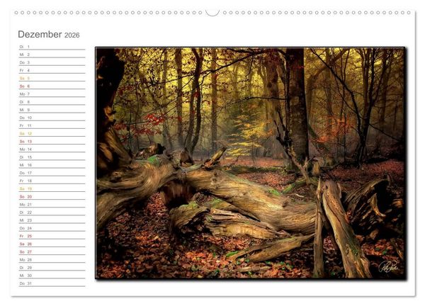 Produktbild: Der Neuenburger Urwald (Wandkalender 2026 DIN A2 quer), CALVENDO Monatskalender