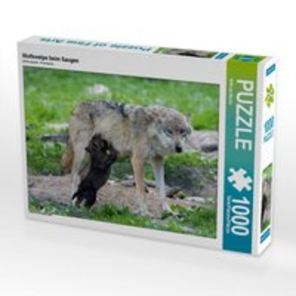 CALVENDO Puzzle Wolfswelpe beim Saugen 1000 Teile Lege-Größe 64 x 48 cm Foto-Puzzle Bild von Wilfried Martin