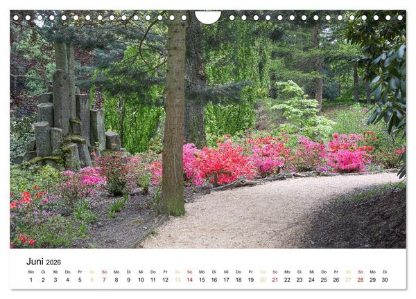 Produktbild: Streifz&uuml;ge durch Feld und Flur (Wandkalender 2026 DIN A4 quer), CALVENDO Monatskalender