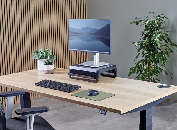Produktbild: Mausmatte XL salbei