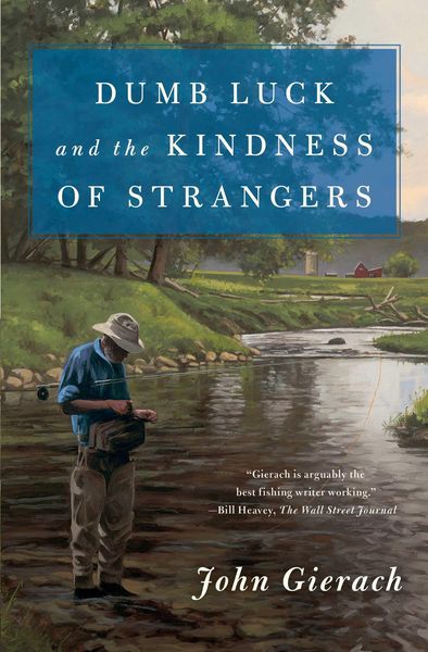 Produktbild: Dumb Luck and the Kindness of Strangers
