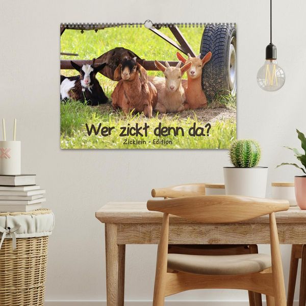 Produktbild: Wer zickt denn da? - Zicklein-Edition (Wandkalender 2026 DIN A3 quer), CALVENDO Monatskalender