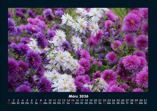Produktbild: Blumenkalender 2026 Fotokalender DIN A4