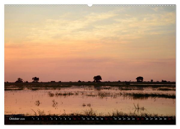 Produktbild: Faszination Botswana (hochwertiger Premium Wandkalender 2026 DIN A2 quer), Kunstdruck in Hochglanz