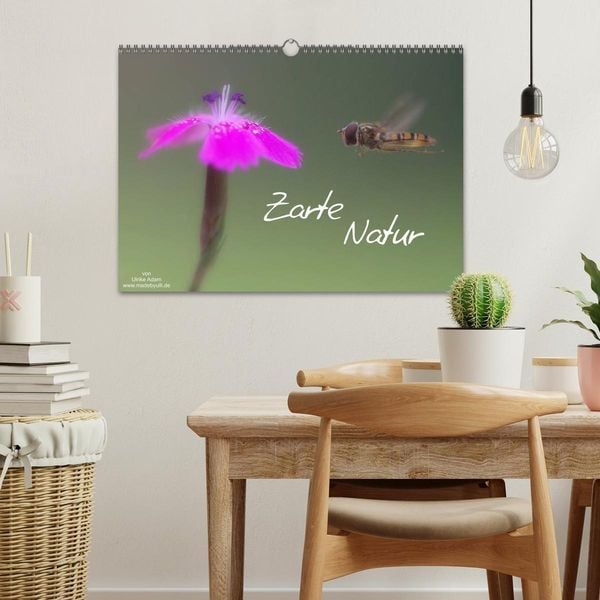 Produktbild: Zarte Natur 2026 (Wandkalender 2026 DIN A3 quer), CALVENDO Monatskalender