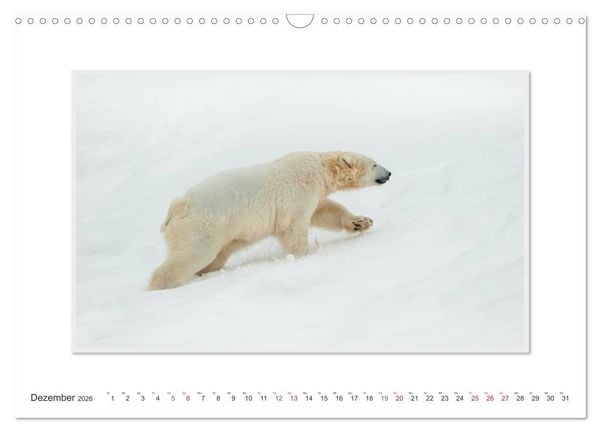 Produktbild: Emotionale Momente: Der Eisb&auml;r. (Wandkalender 2026 DIN A3 quer), CALVENDO Monatskalender