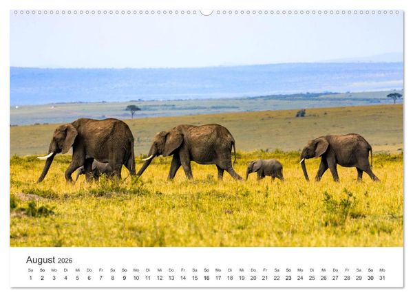 Produktbild: Botswana - Grandiose Wildnis (Wandkalender 2026 DIN A2 quer), CALVENDO Monatskalender