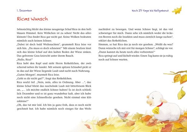 Produktbild: Ein Weihnachtsgeschenk f&uuml;r Rica