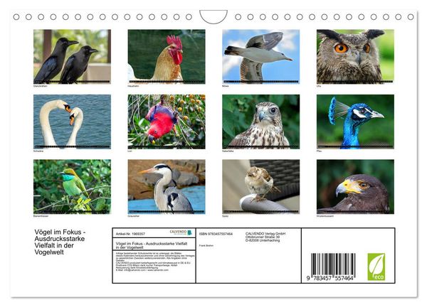 Produktbild: V&ouml;gel im Fokus - Ausdrucksstarke Vielfalt in der Vogelwelt (Wandkalender 2026 DIN A4 quer), CALVENDO Monatskalender