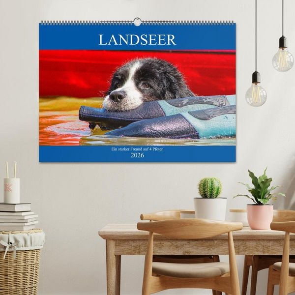 Produktbild: Landseer - Ein starker Freund auf 4 Pfoten (Wandkalender 2026 DIN A2 quer), CALVENDO Monatskalender