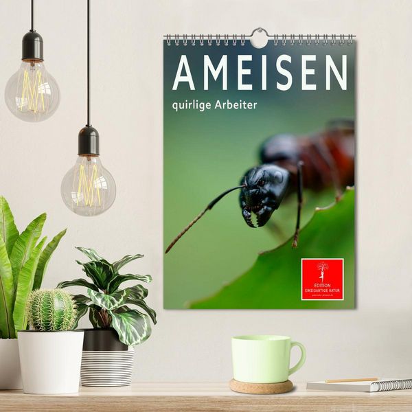 Produktbild: Ameisen quirlige Arbeiter (Wandkalender 2026 DIN A4 hoch), CALVENDO Monatskalender