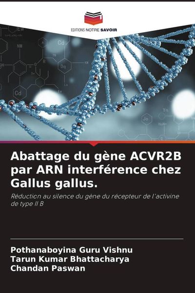 Produktbild: Abattage du g&egrave;ne ACVR2B par ARN interf&eacute;rence chez Gallus gallus.