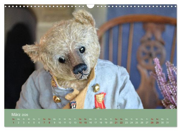 Produktbild: Robin der B&auml;r (Wandkalender 2026 DIN A3 quer), CALVENDO Monatskalender