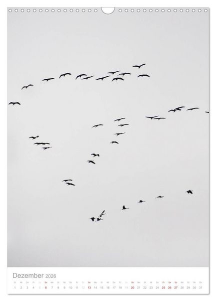 Produktbild: Der Flug der Kraniche (Wandkalender 2026 DIN A3 hoch), CALVENDO Monatskalender