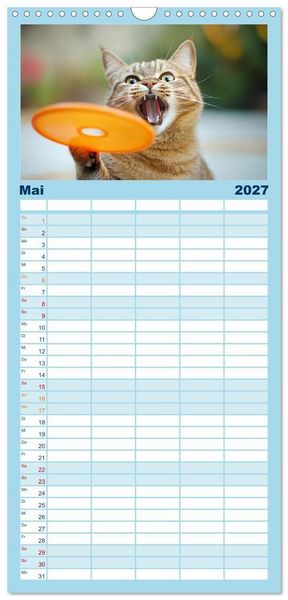Produktbild: Familienplaner 2027 - Lustige Sportarten f&uuml;r Katzen mit 5 Spalten (Wandkalender, 21 x 45 cm) CALVENDO