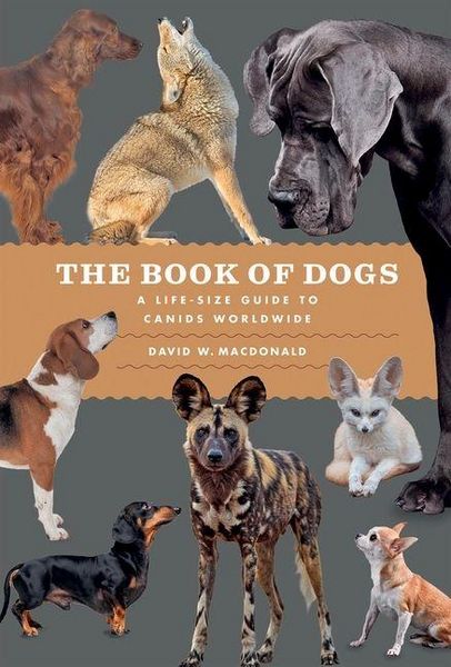 Produktbild: The Book of Dogs