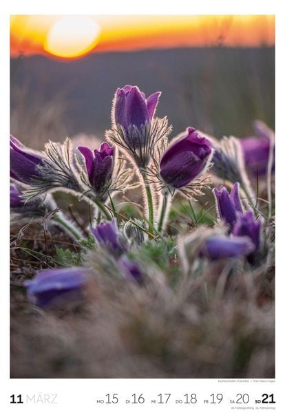 Produktbild: Natur Wochenkalender 2027