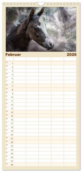 Produktbild: Familienplaner 2026 - Pferde zum Tr&auml;umen mit 5 Spalten (Wandkalender, 21 x 45 cm) CALVENDO