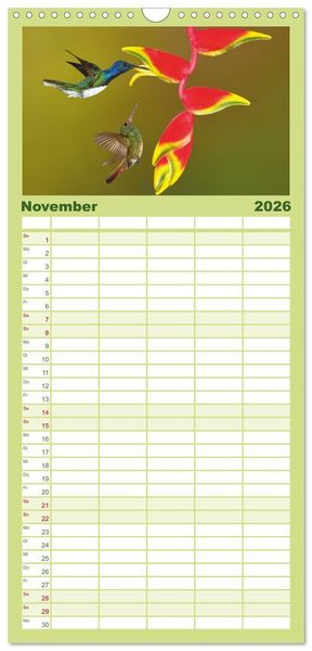 Produktbild: Familienplaner 2026 - Costa Ricas gefiederte Pracht mit 5 Spalten (Wandkalender, 21 x 45 cm) CALVENDO