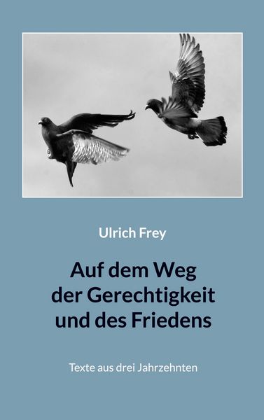 Auf dem Weg der Gerechtigkeit und des Friedens, Taschenbuch von Ulrich Frey , Gottfried Orth, BoD – Books on Demand, 9783754385692