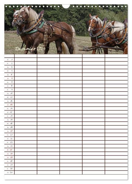 Produktbild: Der Kaltblut-Familienplaner (Wandkalender 2026 DIN A3 hoch), CALVENDO Monatskalender