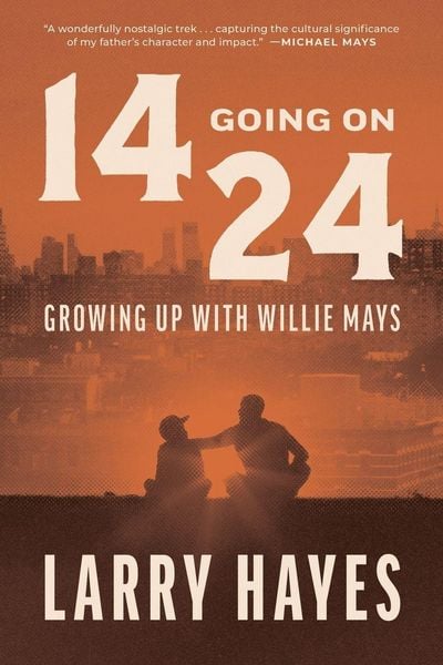 Produktbild: 14 Going on 24