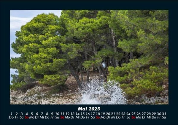 Produktbild: B&auml;ume 2025 Fotokalender DIN A5