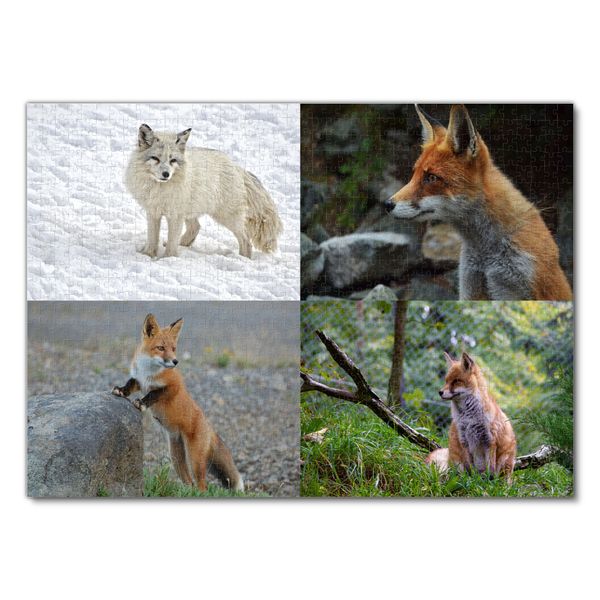 Produktbild: Lais Puzzle Collage Fuchs 1000 Teile