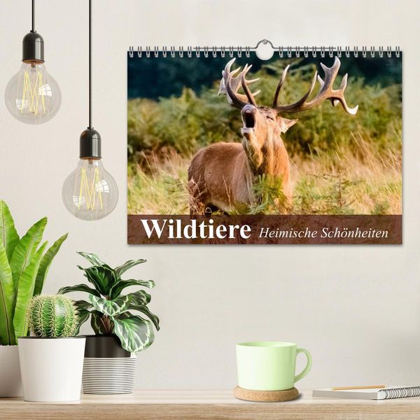 Produktbild: Wildtiere. Heimische Sch&ouml;nheiten (Wandkalender 2026 DIN A4 quer), CALVENDO Monatskalender
