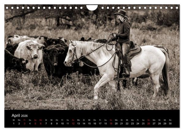 Produktbild: Westernreiten (Wandkalender 2026 DIN A4 quer), CALVENDO Monatskalender