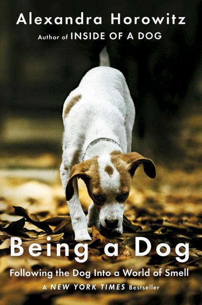 Produktbild: Being a Dog