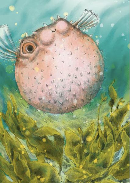 Produktbild: Wunderwelt der Tiere im Meer - Gelesen von Jakob Graf
