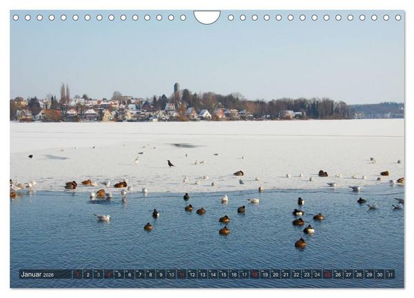 Produktbild: Naturpark Holsteinische Schweiz (Wandkalender 2026 DIN A4 quer), CALVENDO Monatskalender
