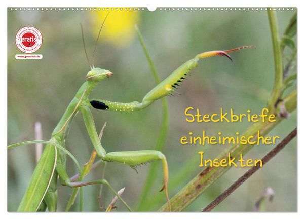 GEOclick Lernkalender: Insekten (Wandkalender 2026 DIN A2 quer), CALVENDO Monatskalender