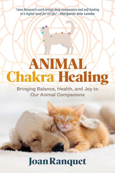 Produktbild: Animal Chakra Healing
