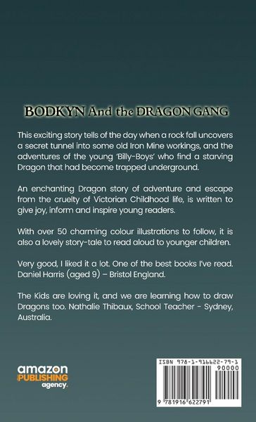 Produktbild: Bodkyn and The Dragon Gang